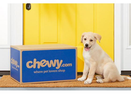 phone number for chewy pet food