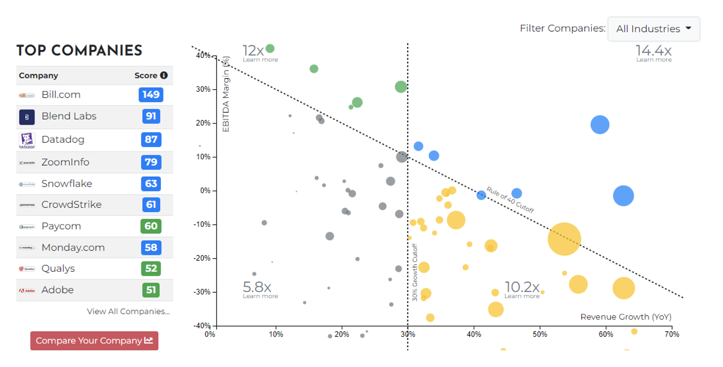 SaaS Rule of 40 Index