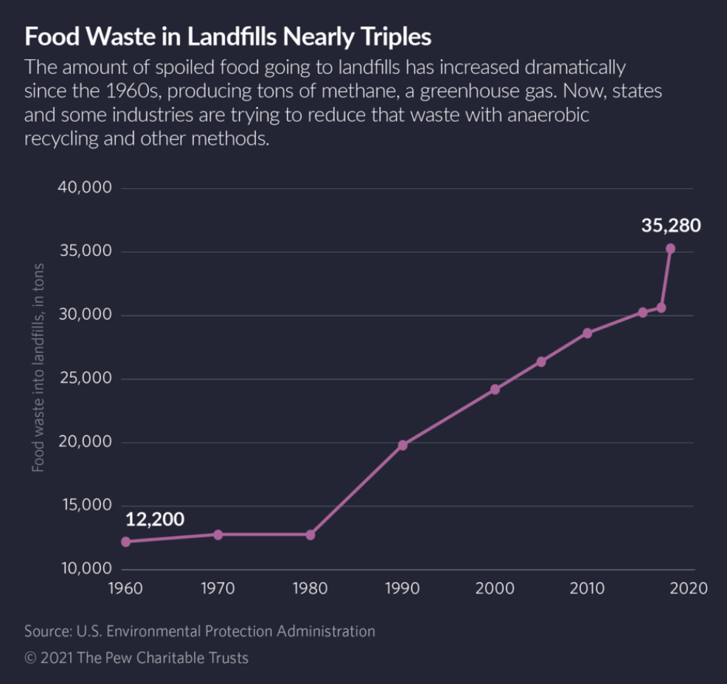 More than we can chew: Solving the food waste crisis