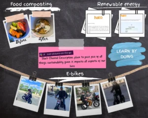 Sustainability mood board.